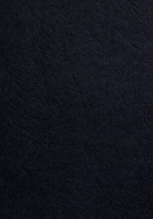 VOORBLAD GBC A4 KARTON LEDERLOOK 250GR ZWART