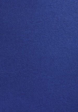 VOORBLAD GBC A4 KARTON LEDERLOOK 250GR KONINGSBL