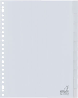 TABBLAD KANGARO G410FM A4 23R PP 10DLG VENSTERTABS