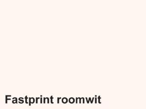 KOPIEERPAPIER FASTPRINT A4 80GR ROOMWIT