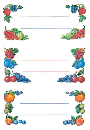 ETIKET HERMA 3784 KEUKEN FRUIT ARRANGEMENT 12ST