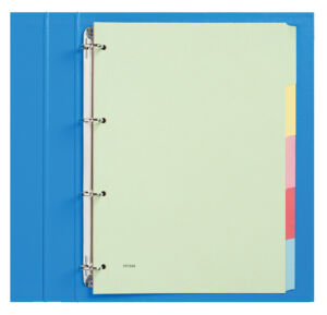 TABBLAD BUDGET 4RINGS KARTON 5 DELIG