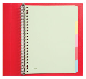 TABBLAD BUDGET 23RINGS KARTON 5 DELIG