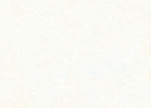 ZIJDEVLOEIPAPIER FOLIA 50X70CM 20G NR 00 WIT