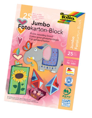 FOTOKARTON FOLIA 2ZIJDIG 24X35CM 300GR NR666 ASS