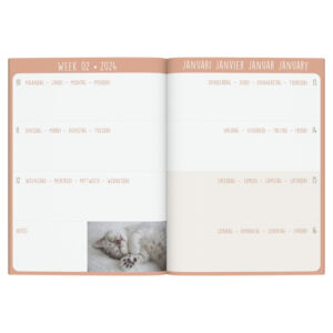 AGENDA 2024 LANNOO MY FRIENDS 7D/2P 110X150 KITTEN