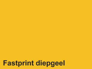 KOPIEERPAPIER FASTPRINT A4 80GR DIEPGEEL